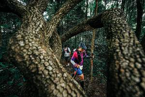 BIB: 
                            <button type="button" onclick="openModal(25394160)" class="btn btn-primary btn-sm float-right btn-popup" data-toggle="modal" data-target=".modal-high-quality">
                        <i class="fas fa-shopping-cart"></i> Add to Cart
                    </button>
                                            <button type="button" onclick="isThisMe(25394160, true)" class="btn btn-success btn-sm float-right btn-popup btn-isme hidden" data-toggle="tooltip" data-placement="bottom" title="นี่คือรูปของคุณใช่ไหม คลิกที่นี่เพื่อเอาเข้าอัลบั้ม">
                        <i class="fas fa-plus"></i> Add to album
                    </button>
                    <button type="button" onclick="isThisMe(25394160, false)" class="btn btn-warning btn-sm float-right btn-popup btn-isnotme hidden">
                        <i class="fas fa-ban"></i> Remove from album
                    </button>